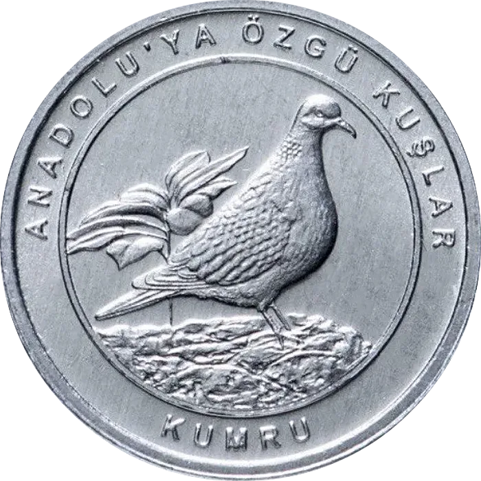 Kumru